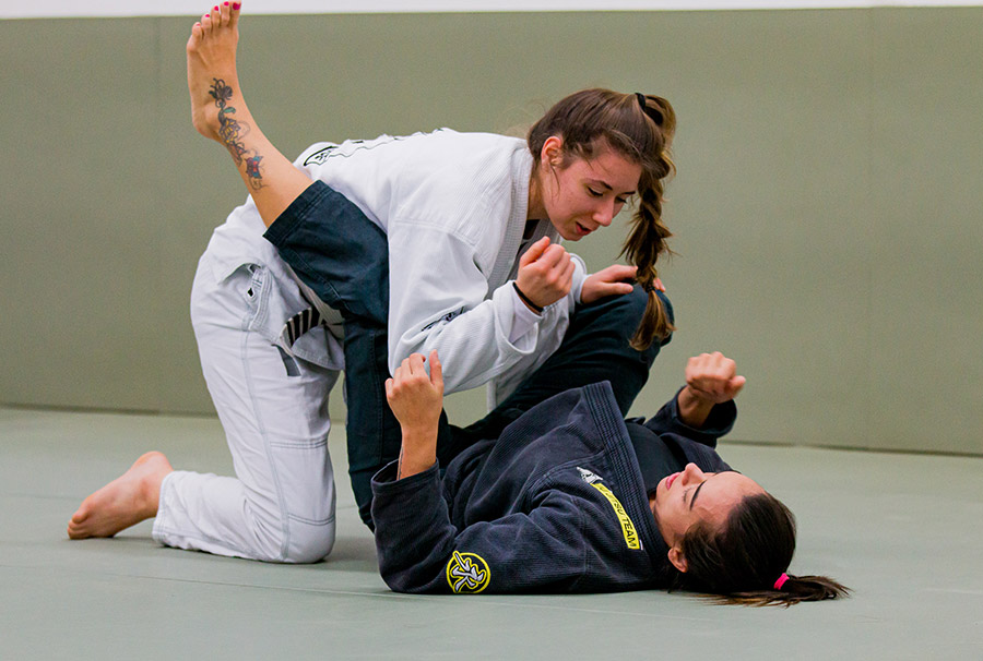 Alliance Jiu Jitsu - Programa Iniciante
